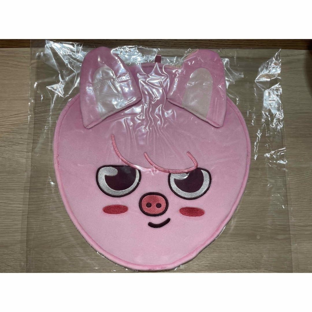 straykids 【DWAEKKI】うちわケースうちわチャンビントェッキ